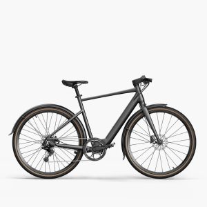 C21 Gravel & City E-Bike
