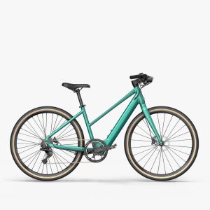 E-Gravel C22 Electric Bike