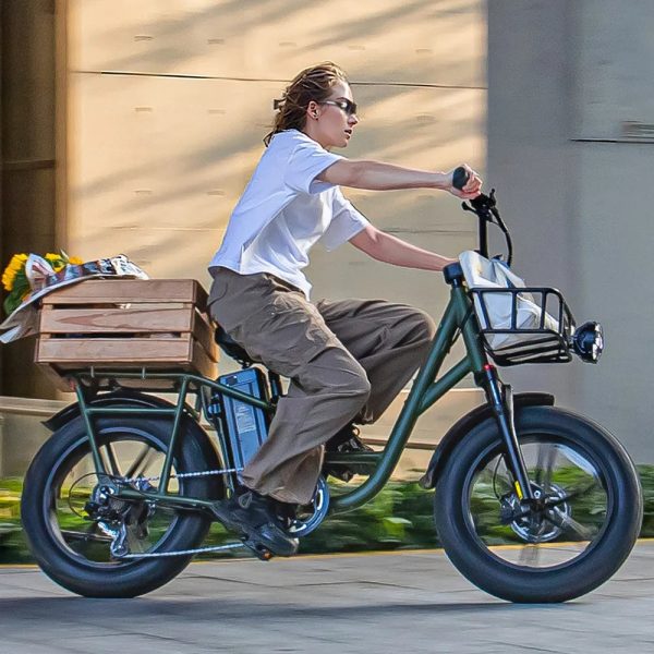 T1 Pro Utility Electric Bike - Image 2