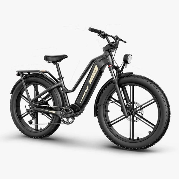 Titan Fat Tire Touring Ebike - Long Range - Image 6