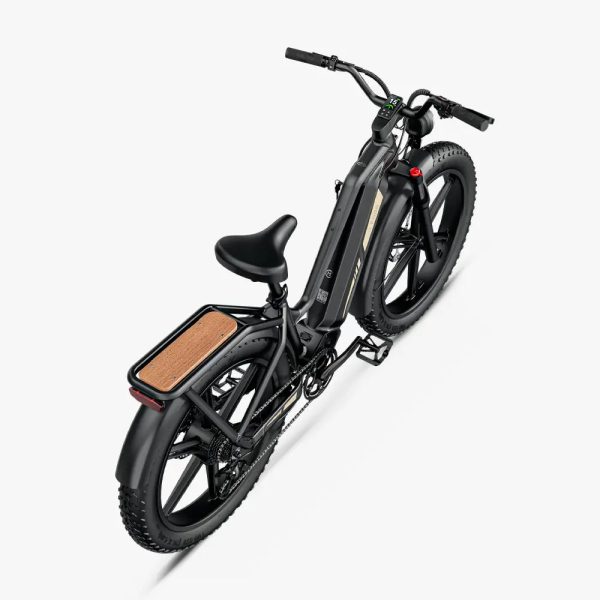 Titan Fat Tire Touring Ebike - Long Range - Image 8