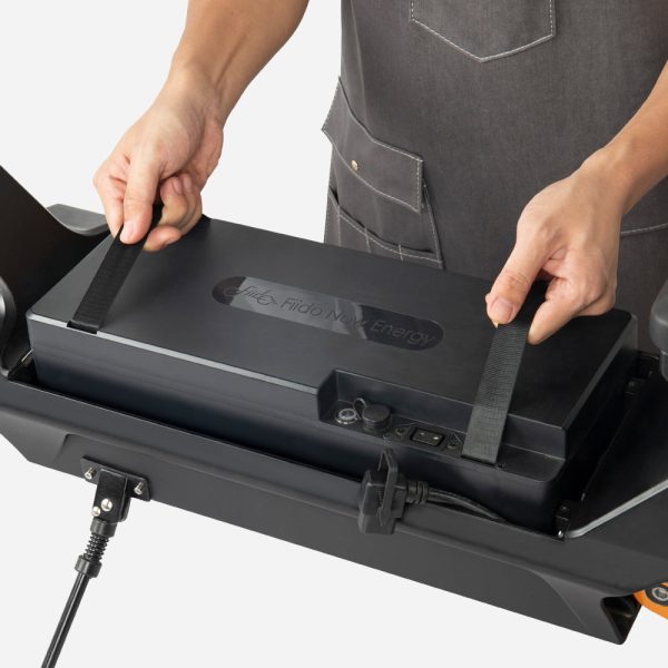 Beast Electric Scooter - Image 4