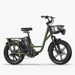T1 Pro Utility Electric Bike