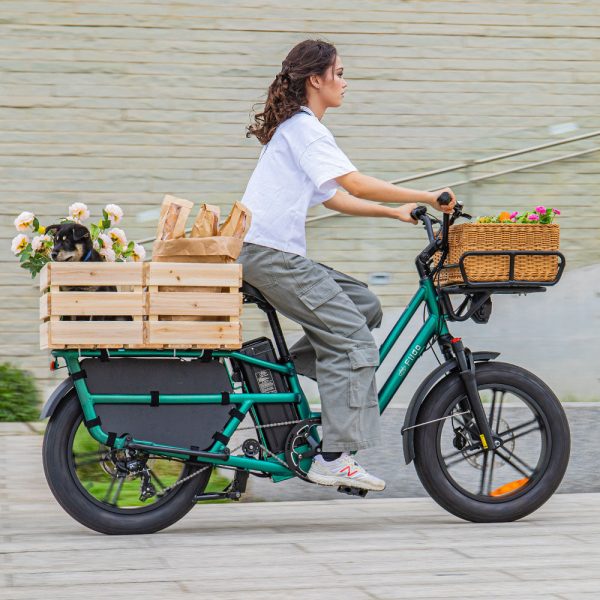 T2 Longtail Cargo E-bike - Image 3