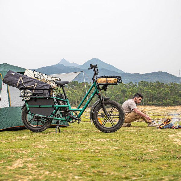 T2 Longtail Cargo E-bike - Image 4